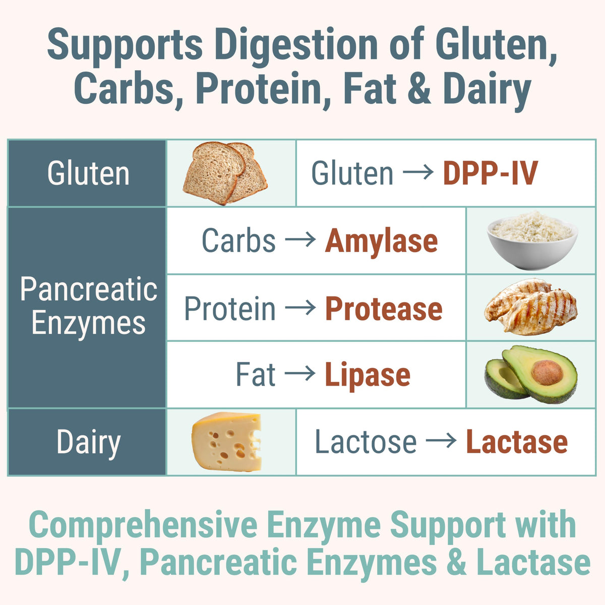 Gummies Enzymes daily Lactase SHIZAM avec une main