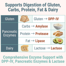 Gummies Enzymes daily Lactase SHIZAM avec une main