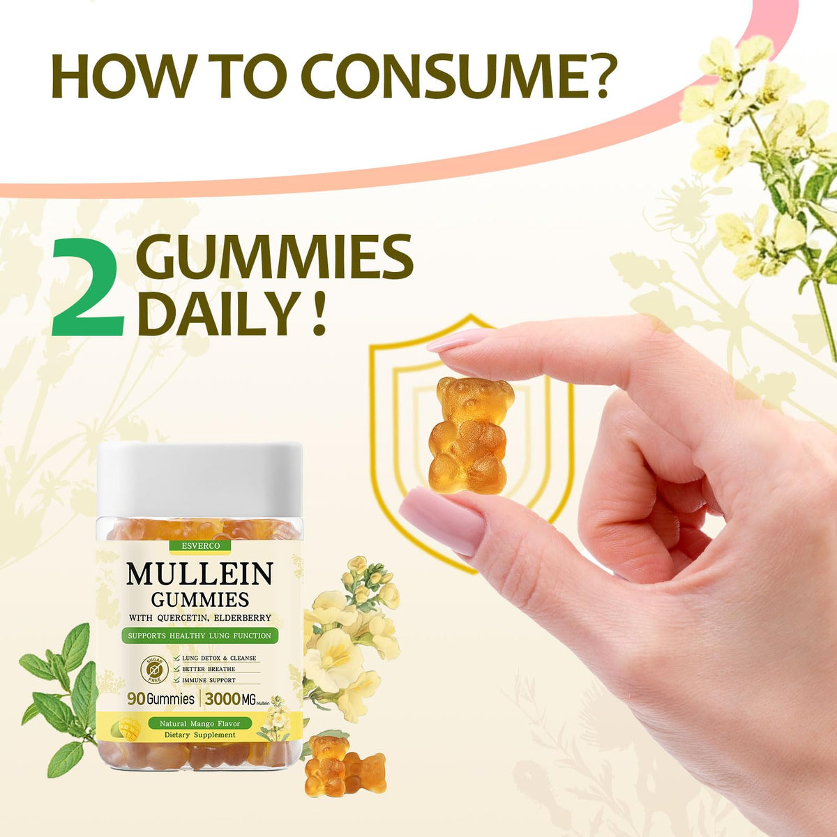 Gummies Esverco de Mullein avec une prise de deux gummies
