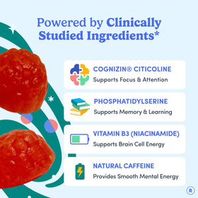 Gummies FIRST DAY, dos de l'emballage avec informations nutritionnelles