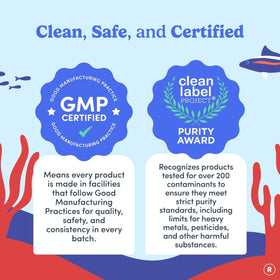 Gummies FIRST DAY montrant la portion recommandée de 2 gummies