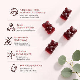 Gummies GABA & Champignons Lukaree, détails des ingrédients