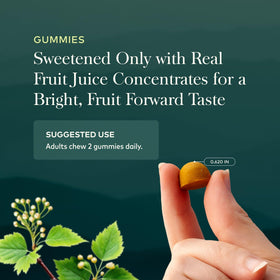 Gummies Gaia Herbs Curcuma Suprême en promotion