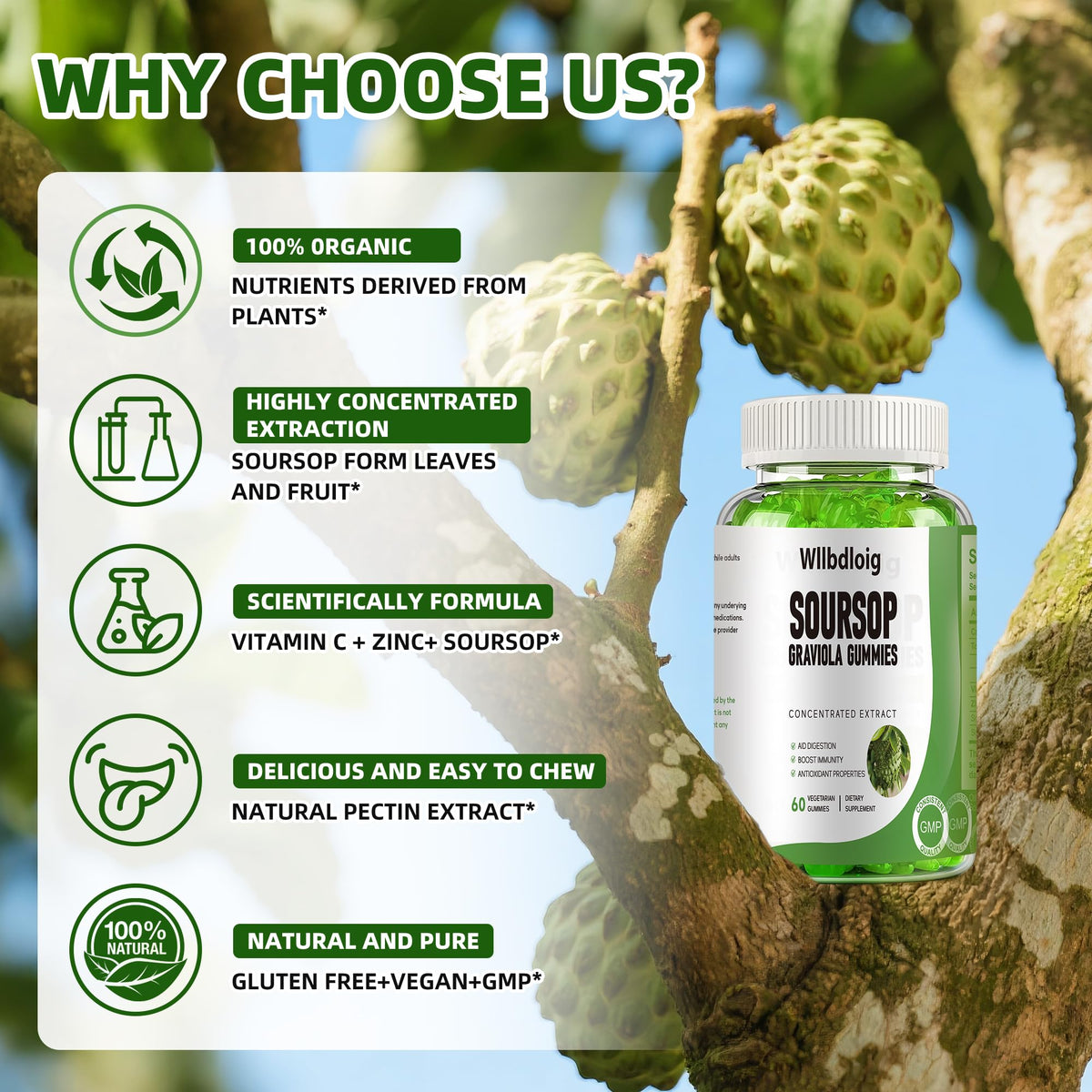 Gummies Graviola Soursop Wllbdloig 231g avec extrait de feuilles de Soursop