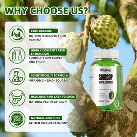 Gummies Graviola Soursop Wllbdloig 231g avec extrait de feuilles de Soursop