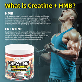 Gummies HEALOADING avec dosette de créatine HMB