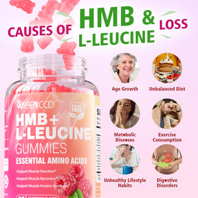 Gummies HMB et L-Leucine MEENCCD, aperçu des ingrédients