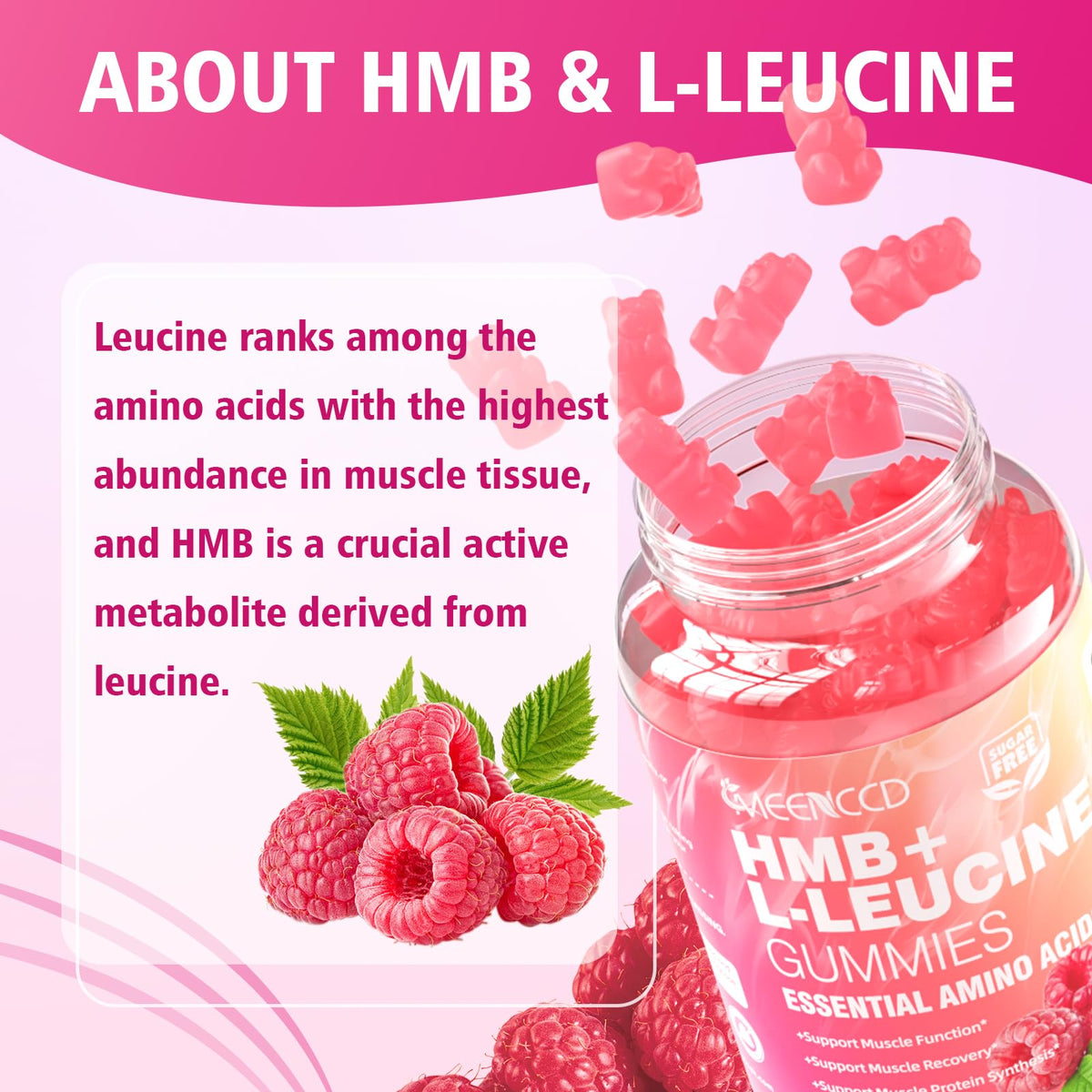 Gummies HMB et L-Leucine MEENCCD, arrière de l'emballage