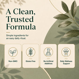 Gummies Kombucha FQMUEV dans un environnement de cuisine