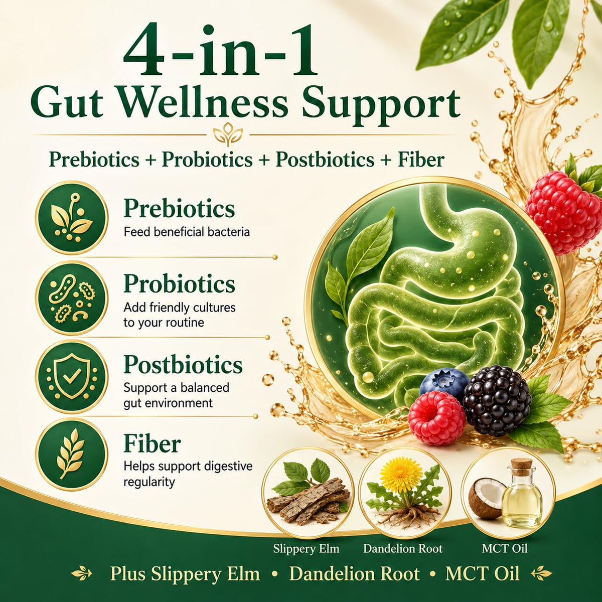 Gummies Kombucha PRIMEHAVEN, dos de l'emballage avec informations nutritionnelles