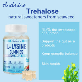 Gummies L-Lysine andmino dans un bol, couleur et texture