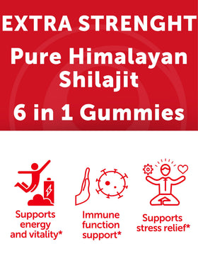 Gummies Lunakai avec champignon chaga pour bien-être