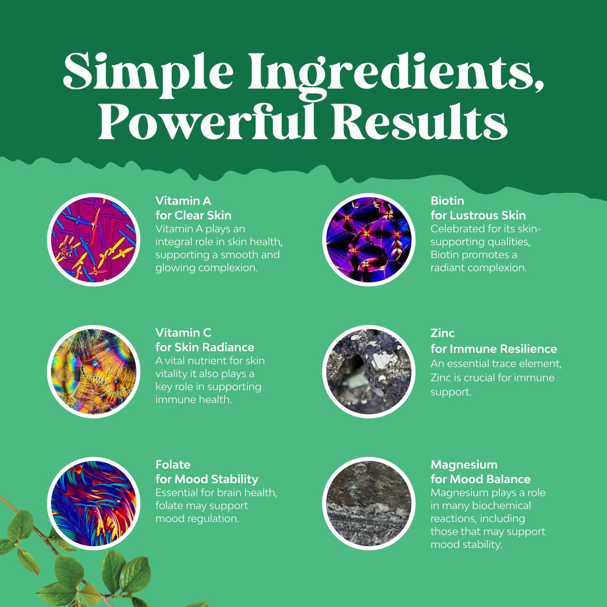Gummies multivitamines Natures Craft, présentation des gummies