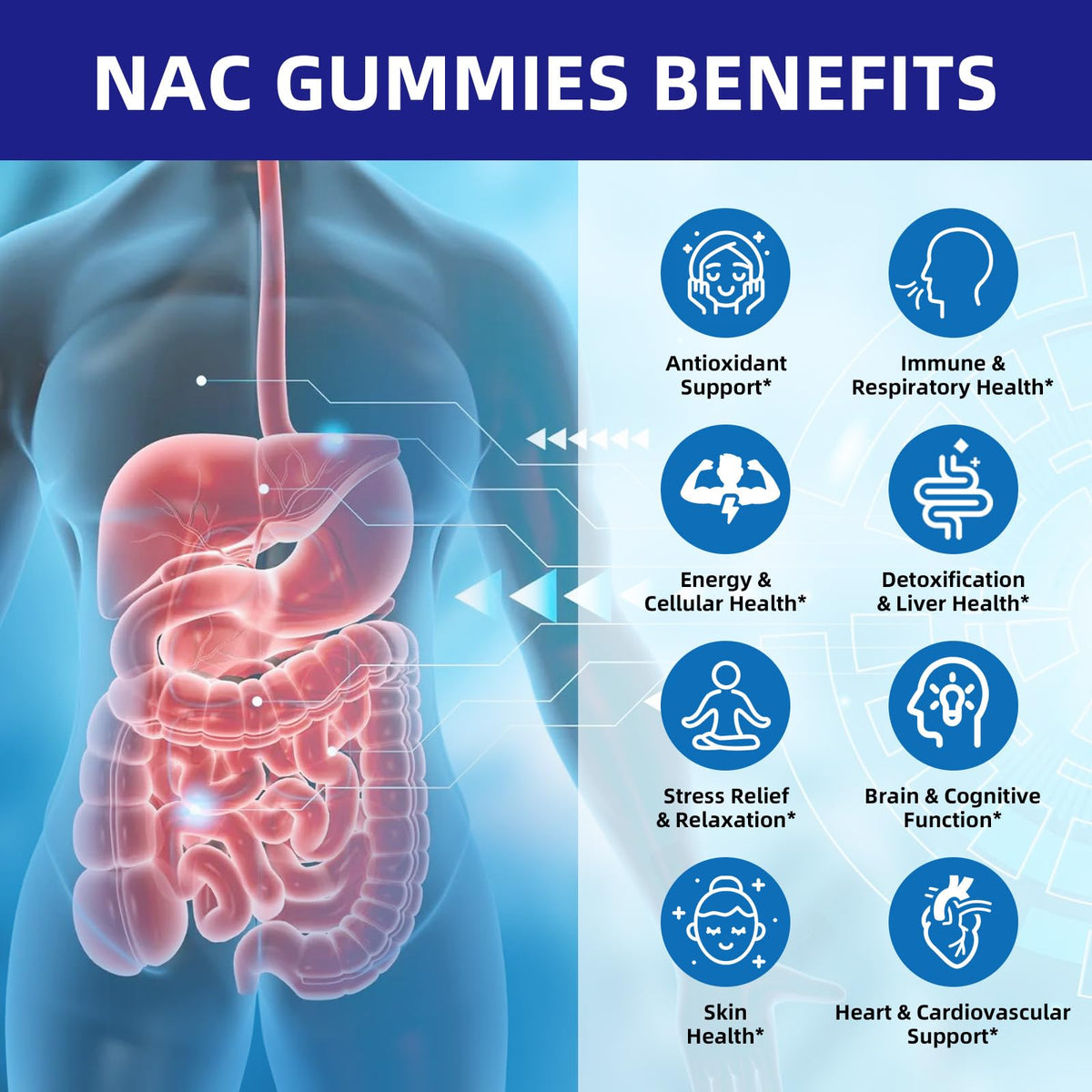 Gummies NAC HEALOADING 600MG près d'un verre d'eau
