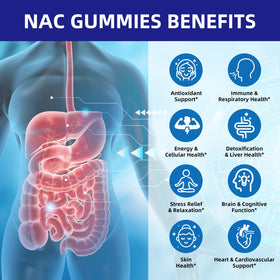 Gummies NAC HEALOADING 600MG près d'un verre d'eau