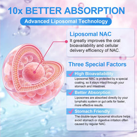 Gummies NAC Liposomales ZOYIIUVY avec myrtille