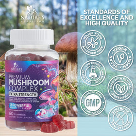 Gummies Nature's Nutrition Chaga champignon