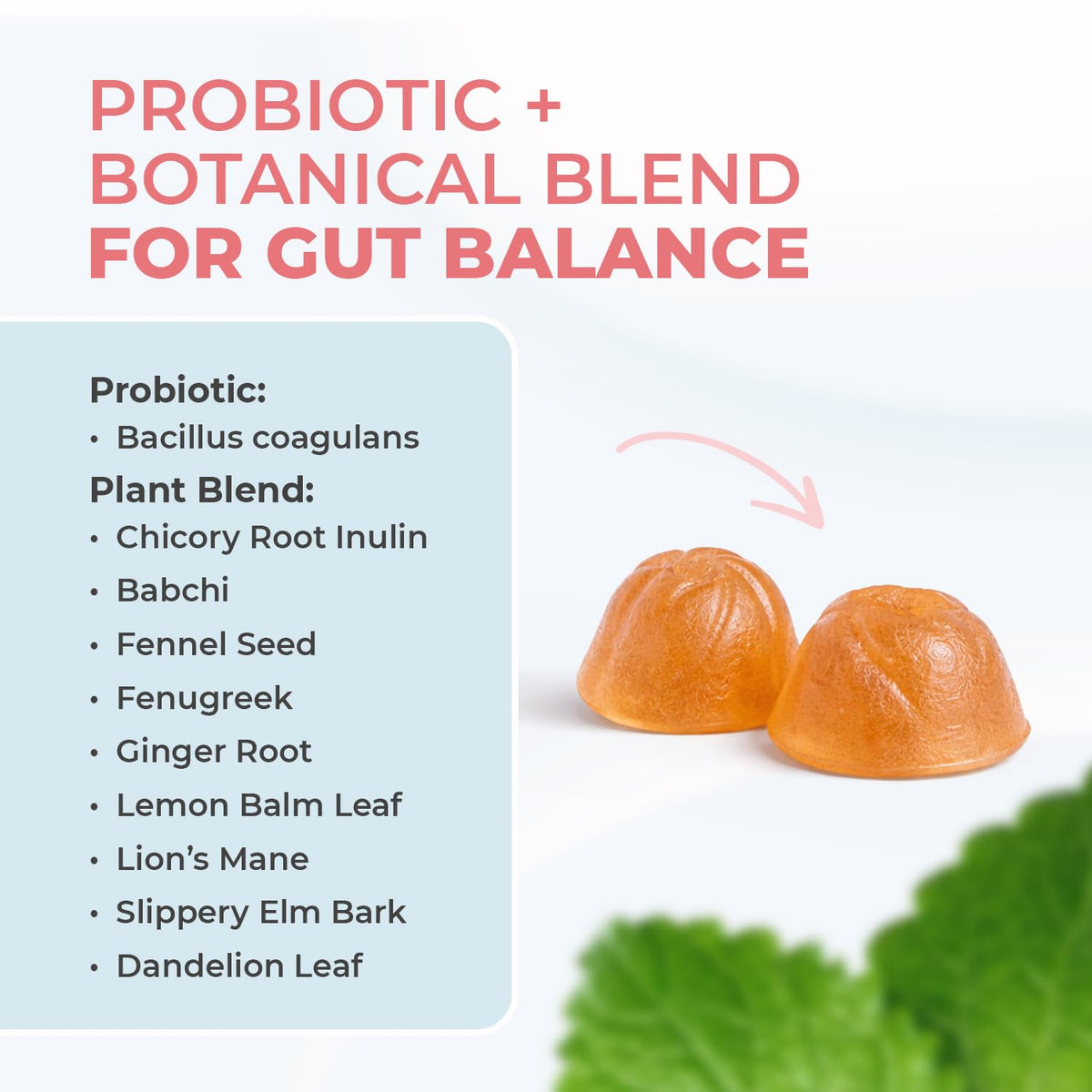 Gummies Nature’s NutriWave montrant la texture du produit