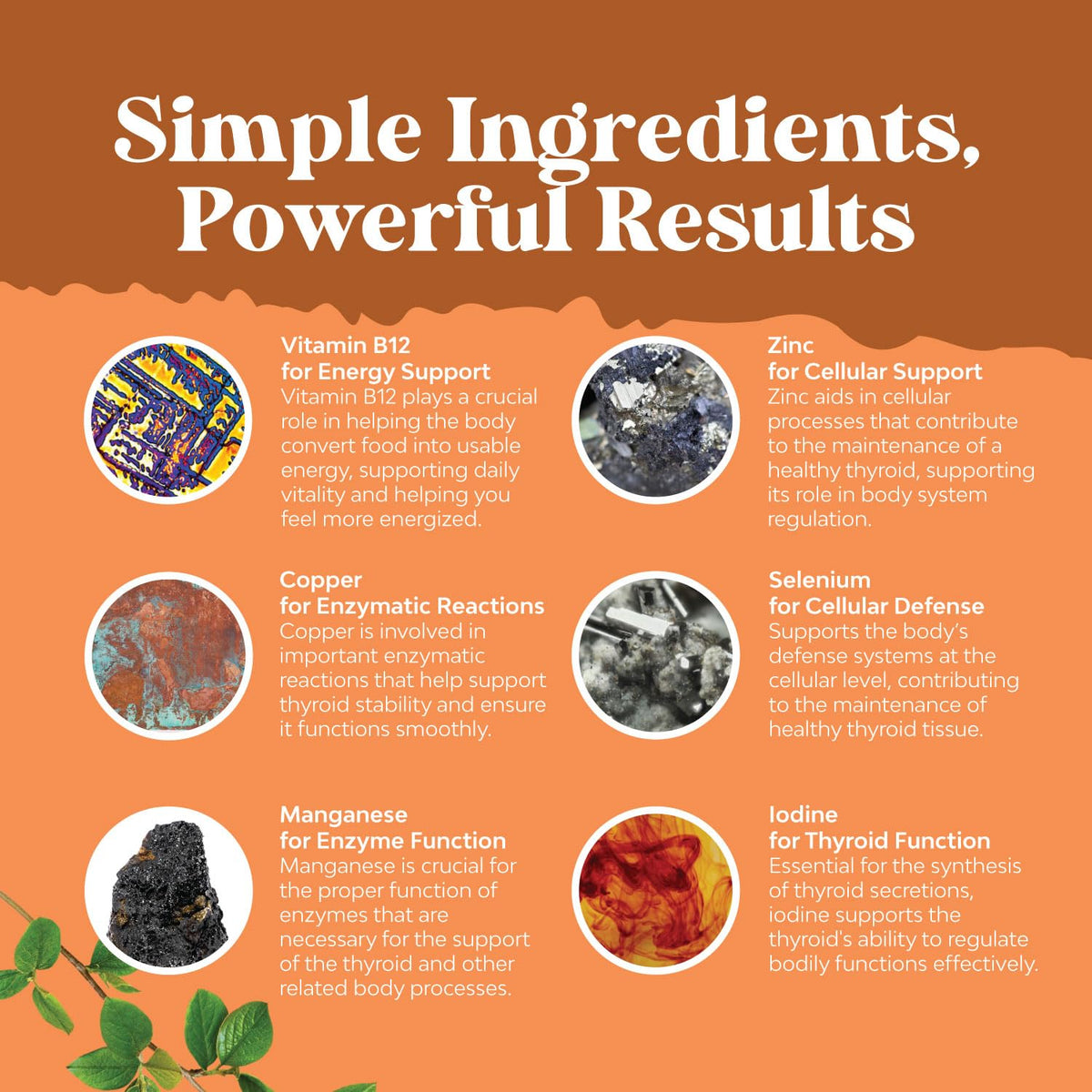 Gummies Natures Craft avec ingrédients naturels sur fond blanc