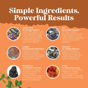Gummies Natures Craft avec ingrédients naturels sur fond blanc
