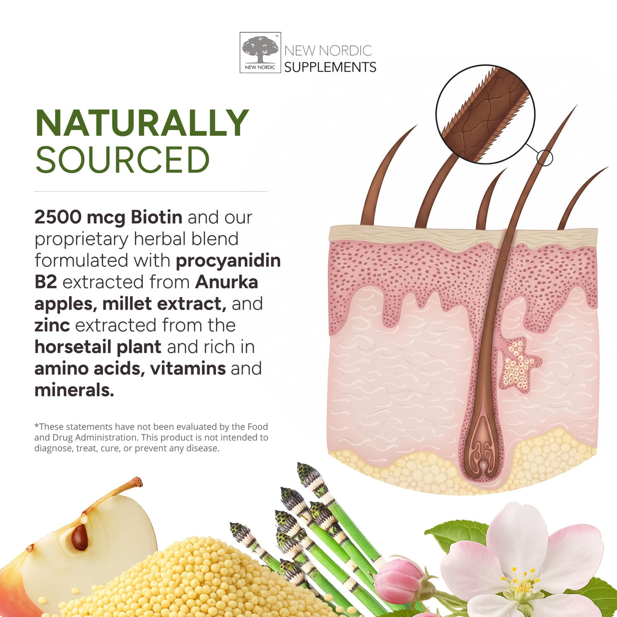 Gummies NEW NORDIC Volume Cheveux sur fond blanc