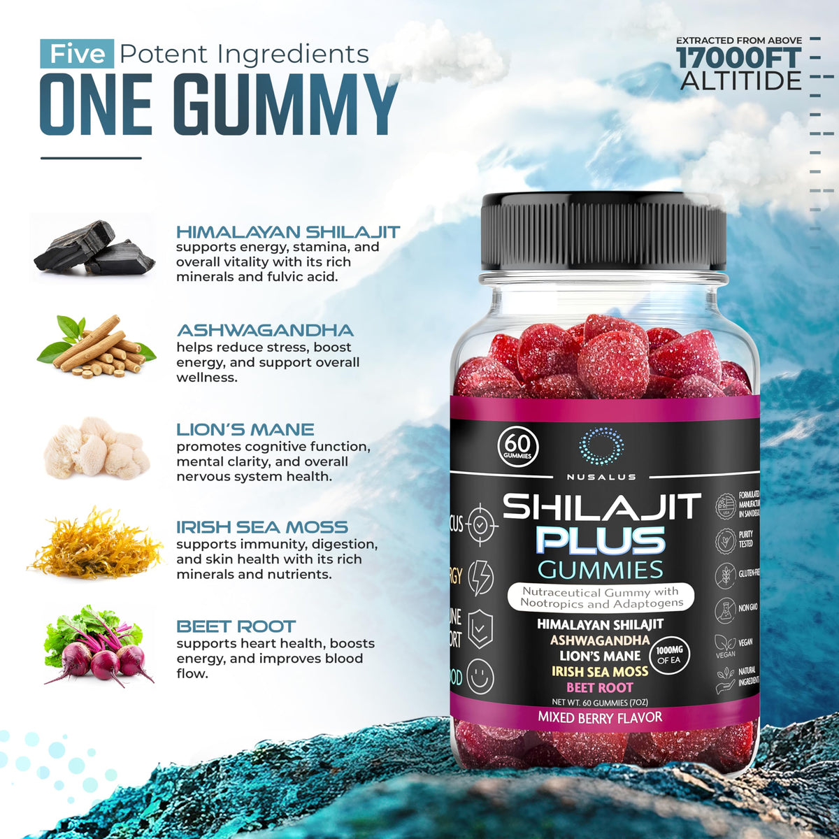 Gummies Nusalus Shilajit Plus 5-en-1, vue de face avec étiquette