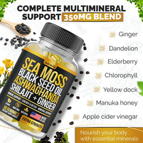 Gummies Nutravia au mousse de mer avec une cuillère