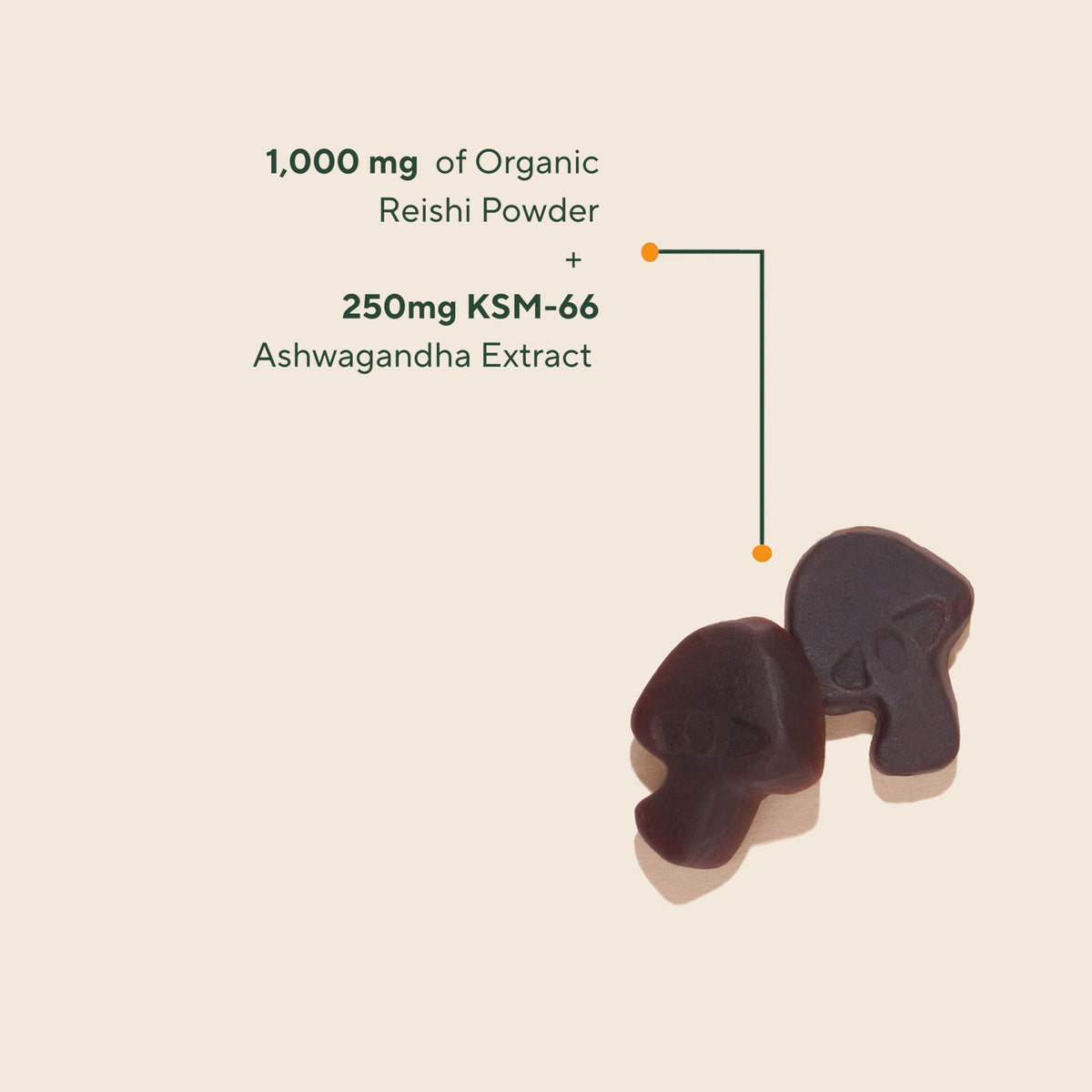 Gummies OM MUSHROOM SUPERFOOD saveur myrtille en gros plan