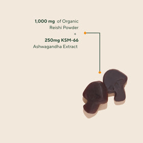 Gummies OM MUSHROOM SUPERFOOD saveur myrtille en gros plan
