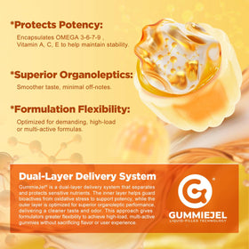 Gummies Omega 3-6-7-9 NEVISS ingrédients sur l'étiquette