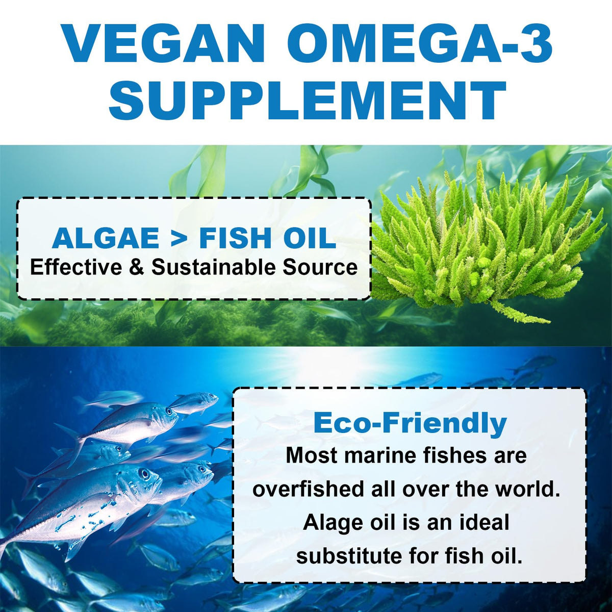 Gummies Omega 3 Flyrocer, détails sur les vitamines ajoutées