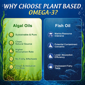 Gummies Omega 3 GZ HAOYUAN avec des ingrédients naturels