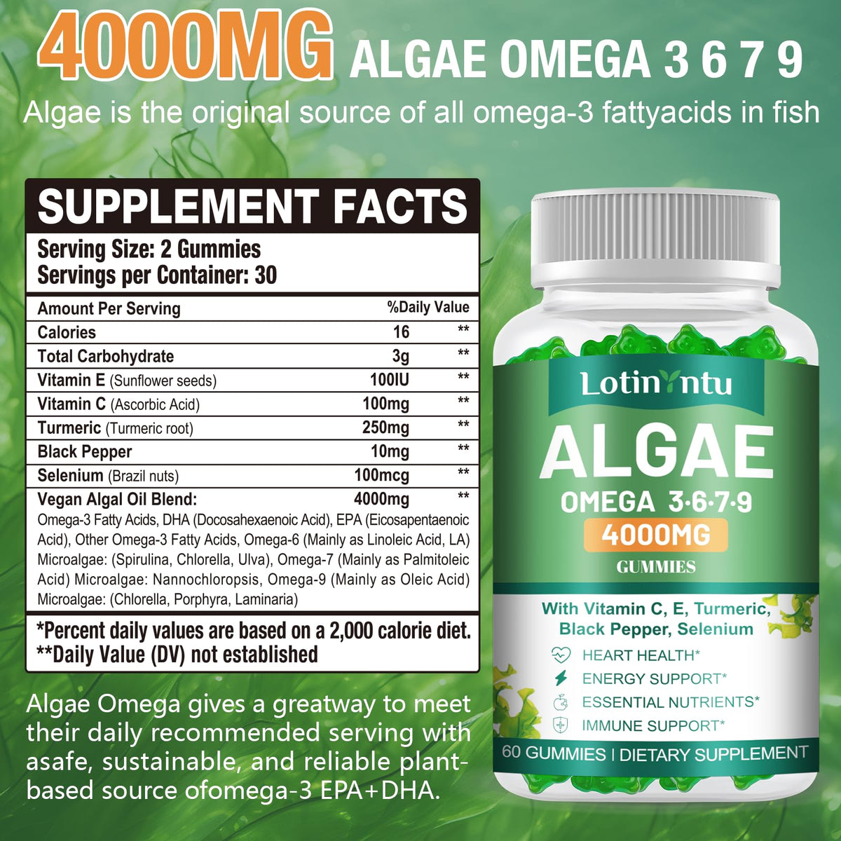 Gummies Omega 3 LotinYntu, arrière de l'emballage