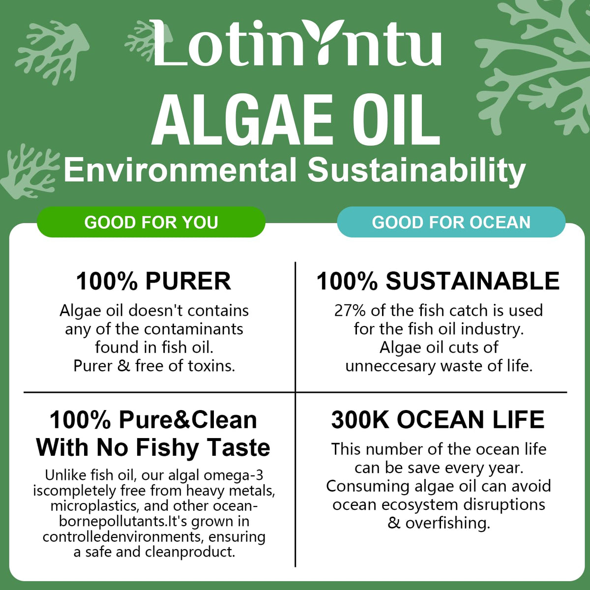 Gummies Omega 3 LotinYntu, détails des ingrédients