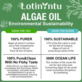 Gummies Omega 3 LotinYntu, détails des ingrédients