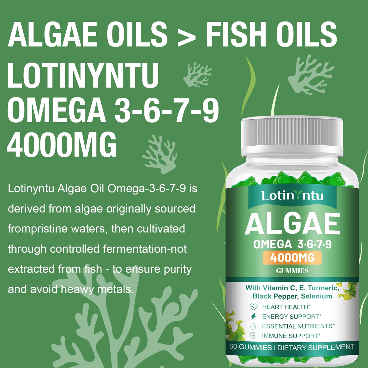 Gummies Omega 3 LotinYntu, format de 4000mg