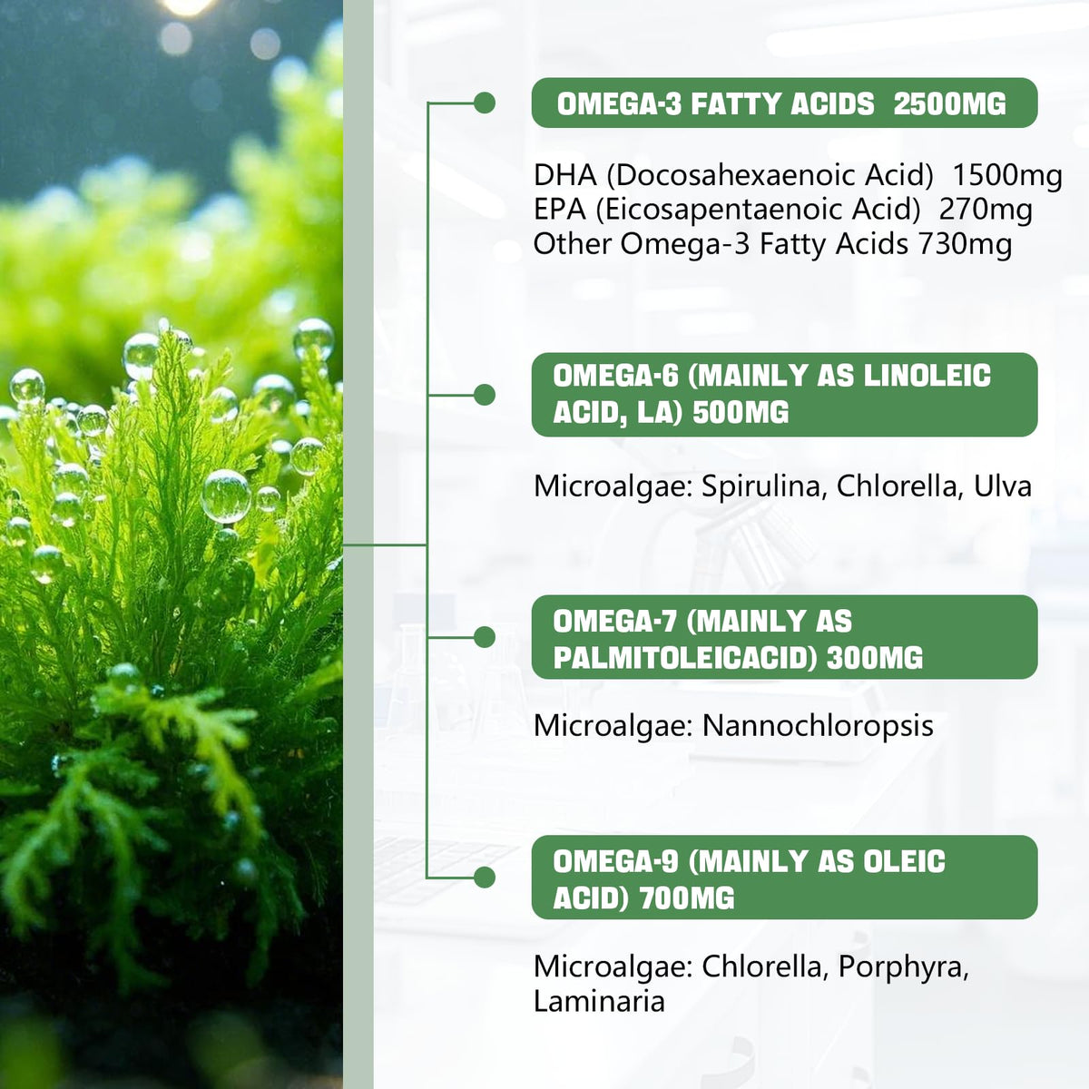 Gummies Omega 3 LotinYntu, prise quotidienne recommandée