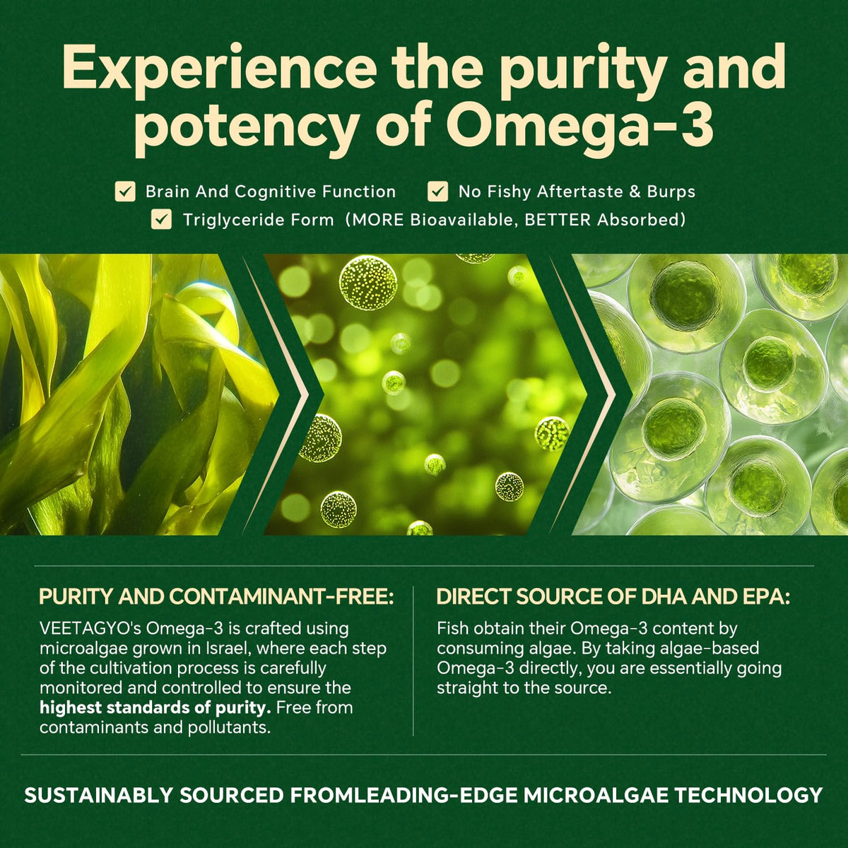 Gummies Omega 3 Végans VEETAGYO, présentation avec une main