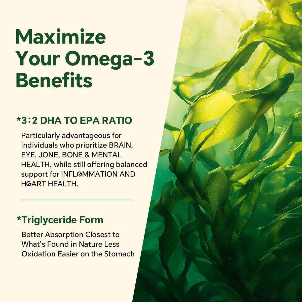 Gummies Omega 3 Végans VEETAGYO, vue de haut