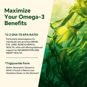 Gummies Omega 3 Végans VEETAGYO, vue de haut
