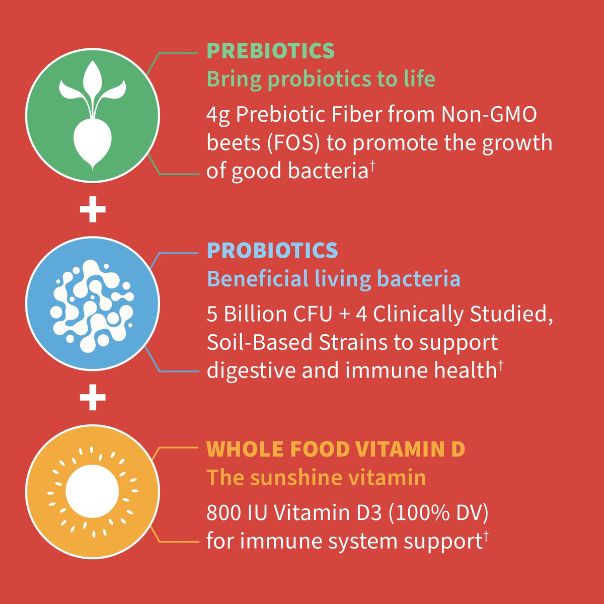 Gummies prébiotiques Garden of Life en boîte