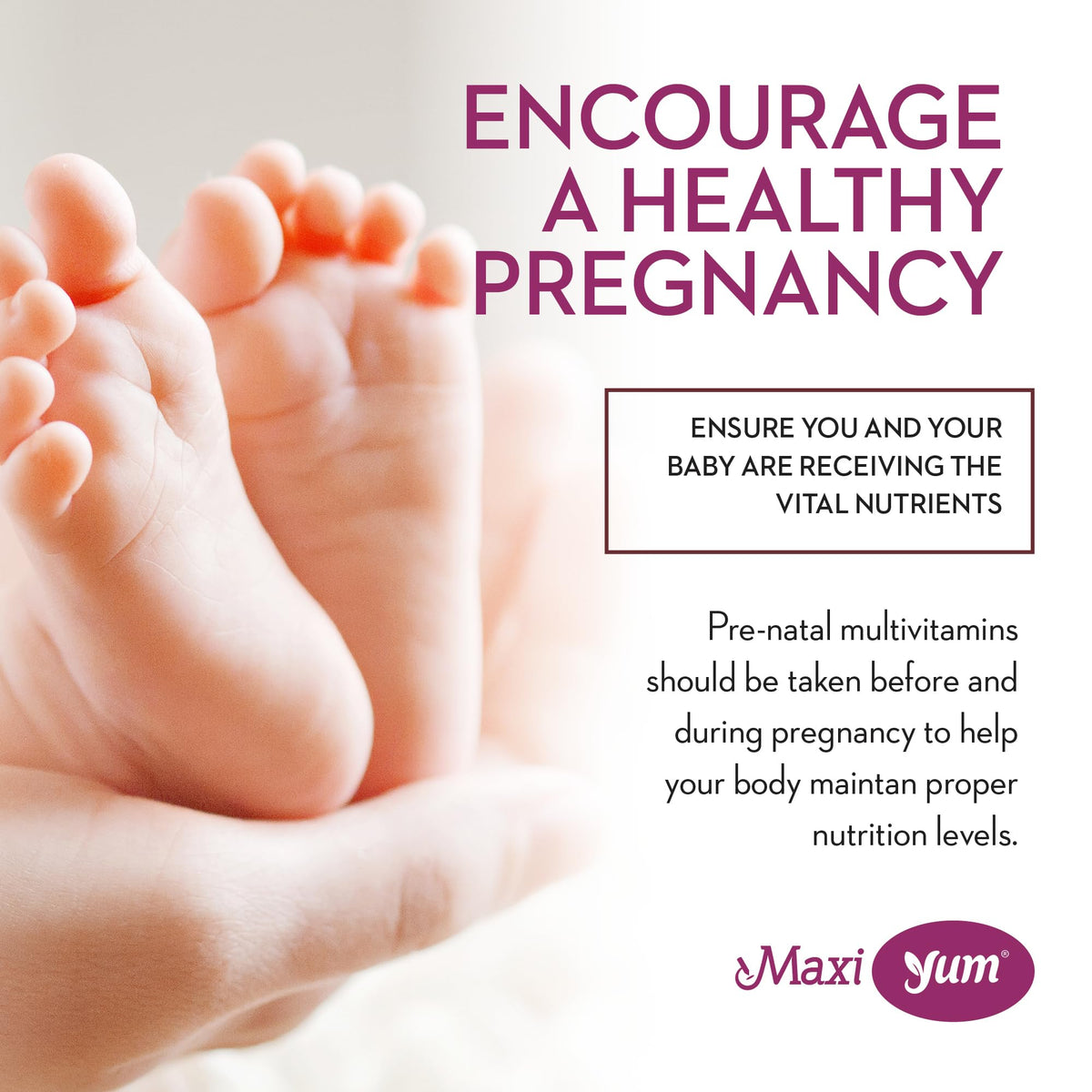 Gummies prénatales Maxi Health dans un verre
