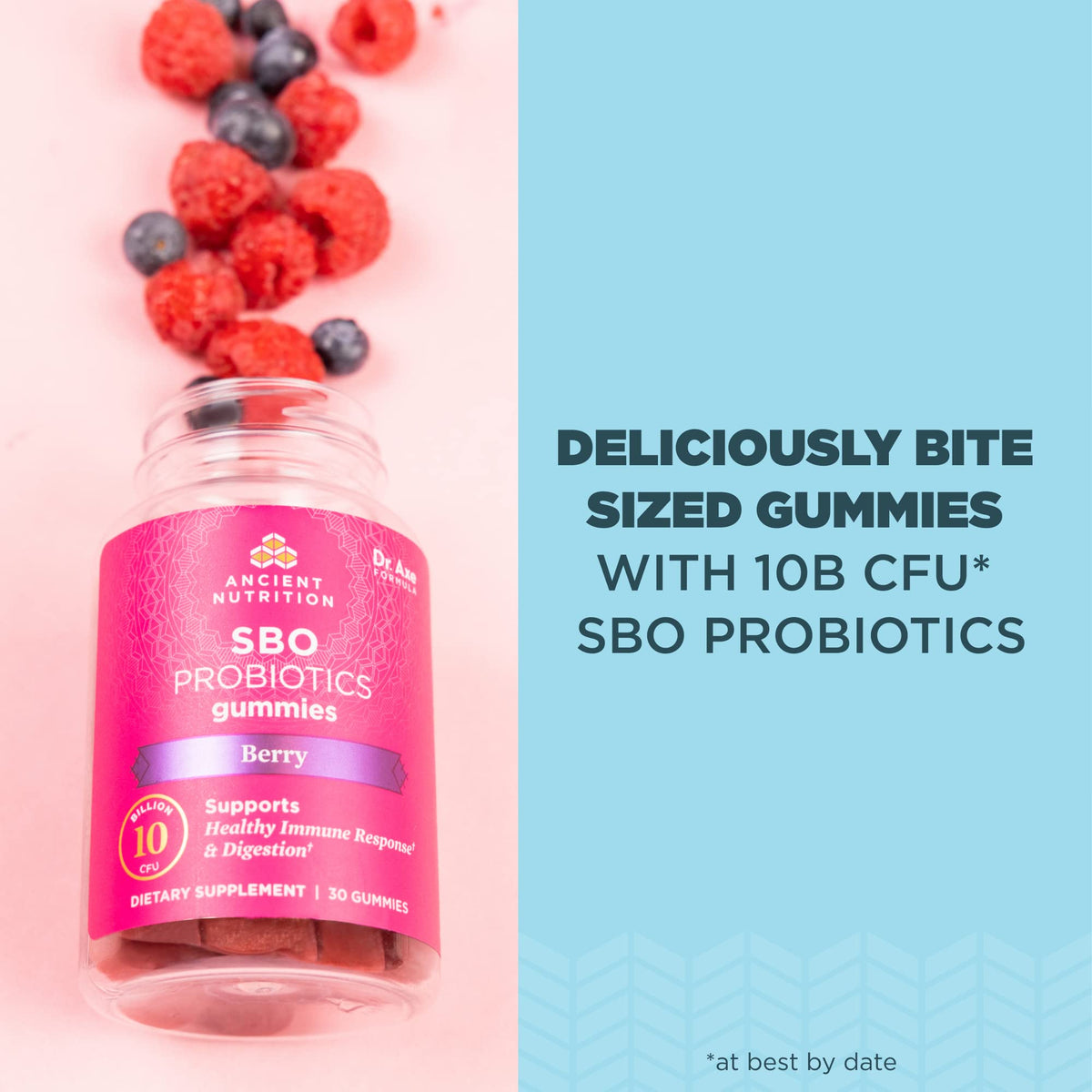 Gummies Probiotiques Ancient Nutrition, présentation des gummies dans une main