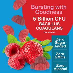 Gummies probiotiques YUM-V'S avec saveur de fraise