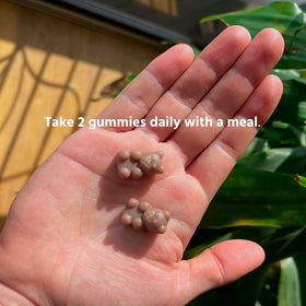 Gummies ProHeight, format et taille des gummies