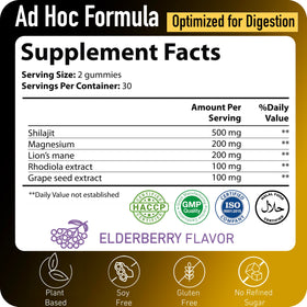 Gummies Shilajit ad hoc 1100mg avec ingrédients