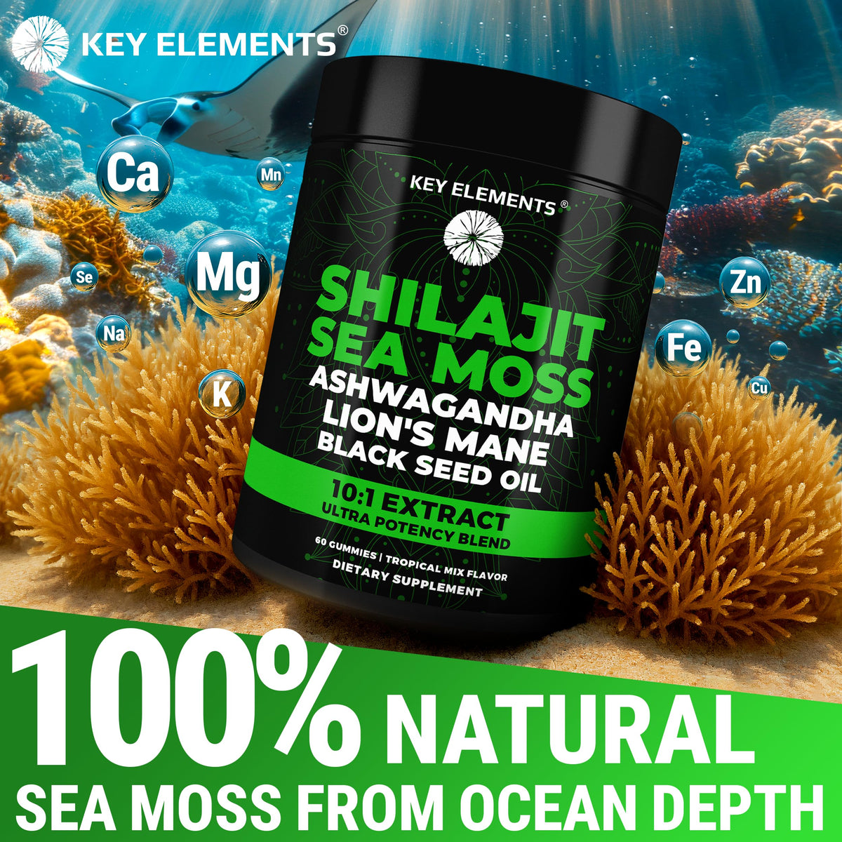 Gummies Shilajit Bio avec Algues Marines, côté de la boîte