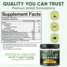 Gummies Shilajit d'Adndale avec étiquette nutritionnelle