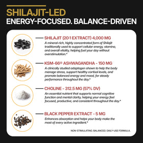 Gummies Shilajit DLNIA, présentation d'une portion