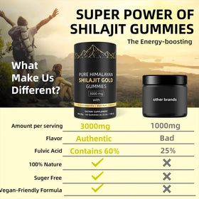 Gummies Shilajit HWAXIGO avec des fruits et herbes naturels